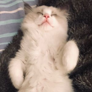 Meet your Posher, Yi